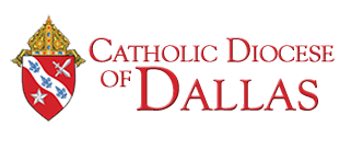 https://craterlakeconsulting.com/wp-content/uploads/2023/08/Catholic-Diocese-Dallas-cropped.png