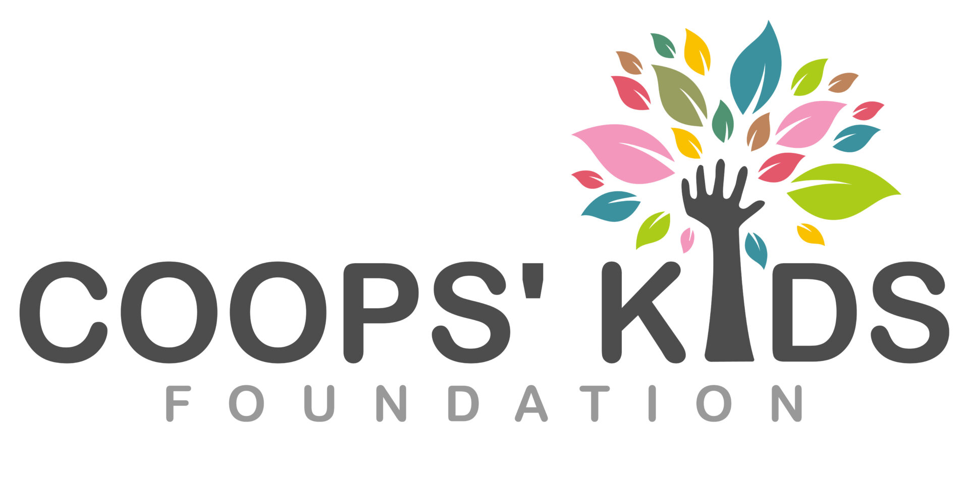 https://craterlakeconsulting.com/wp-content/uploads/2023/08/Coops-Kids-Foundation_Final-Design-Color-cropped-scaled.jpg